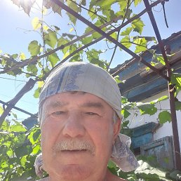 ���� �����, ������, 37 ��� - ��������� 14 ������� 2023