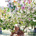  ,  -  11  2023   11.05.2023        