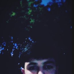 ���� Elvin, �����, 24 ���� - ��������� 14 ��� 2023