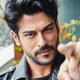 ����, ��������, 37 ���