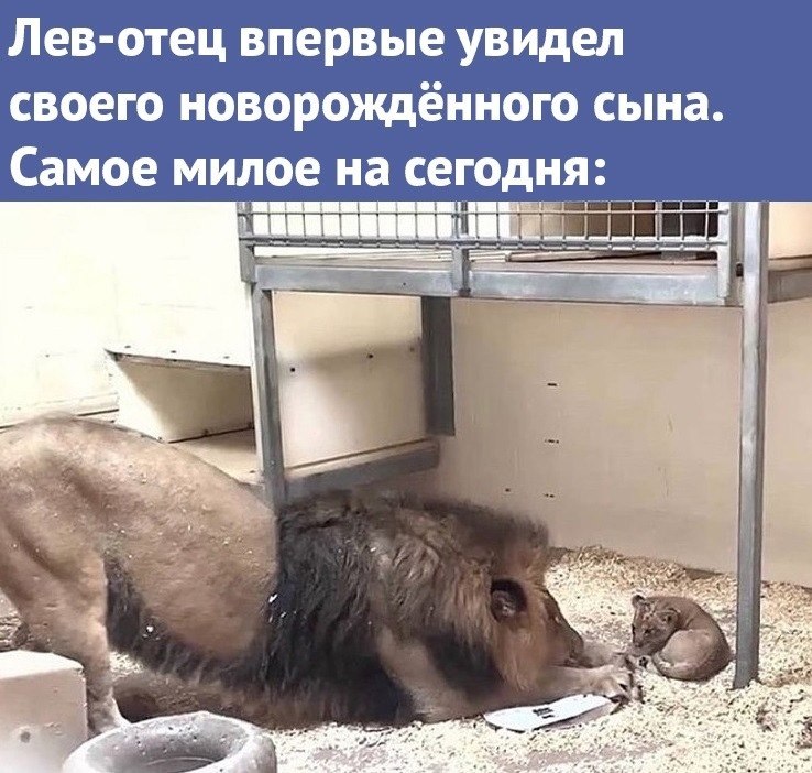 Andrey - 9 ���� 2023 � 23:42