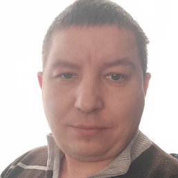 �����, �������, 41 ���