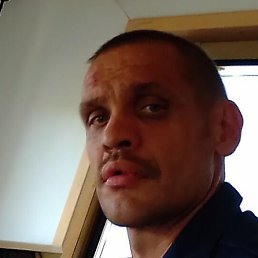 ������, ������������, 43 ����