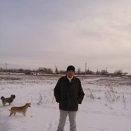 ������, �������, 62 ����