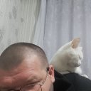 ���� ��������, ���������, 41 ��� - ��������� 12 �������� 2023