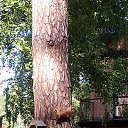 ���� ���������, ������ �������� - ��������� 9 ������� 2023 � ������ ���� ����������