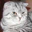 ���� ������, ���������, 51 ��� - ��������� 26 ������� 2023 � ������ ���� ����������