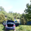 ���� ������, �����, 50 ��� - ��������� 3 ���� 2023 � ������ ���� ����������