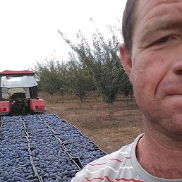 ������, �������, 44 ����