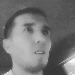 �����, �����, 37 ���