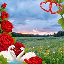 ���� ��������, �����-��������, 57 ��� - ��������� 22 ���� 2023