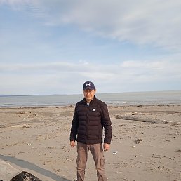 ����, ����-���������, 41 ���