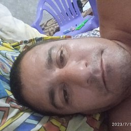 �����, ������, 43 ����