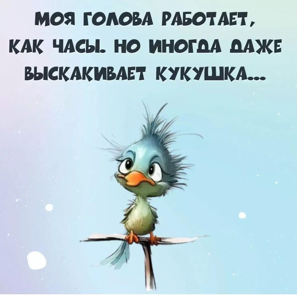   - 12  2023  12:02