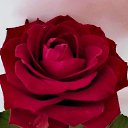 ���� ������� �����, ������, 37 ��� - ��������� 29 �������� 2023 � ������ ���� ����������