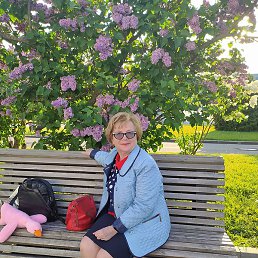 �����, ����������, 65 ���