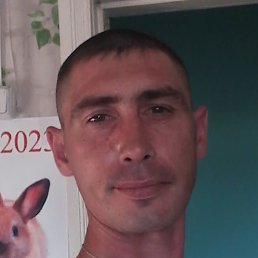 ������, ������, 37 ���