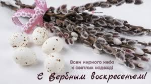 °~Venus Marina~° - 9  2023  11:22