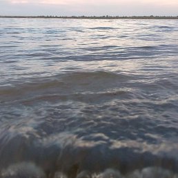 ���� ���, ������������, 37 ��� - ��������� 12 ������� 2023