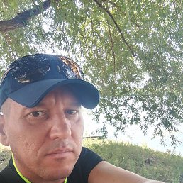 �������, �����������, 44 ����