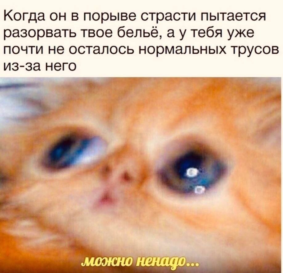 ������� ������� - 7 ������� 2023 � 23:08