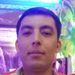 �����, ������������, 32 ����