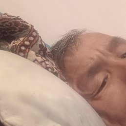 �����, �������, 41 ���