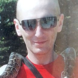 ������, ������, 40 ���