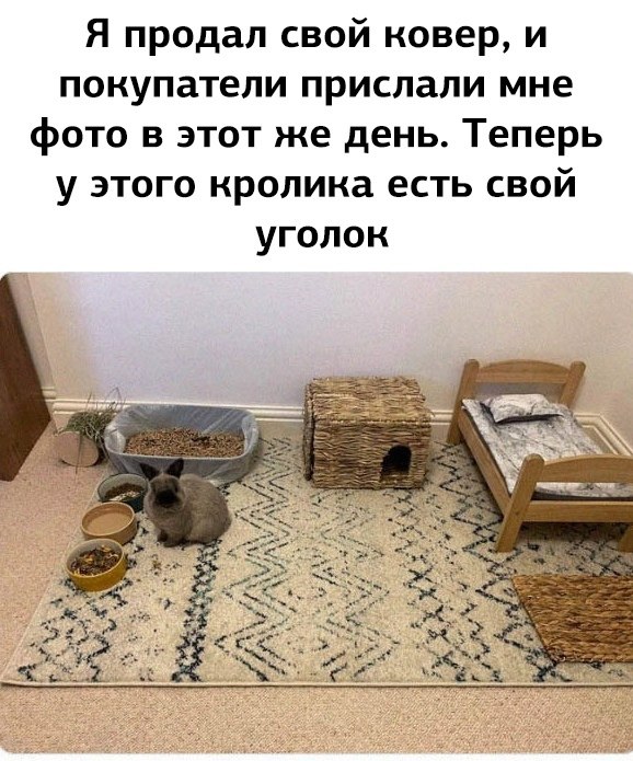 JPG - 7  2023  17:10