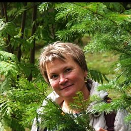 ���������, �����������, 57 ���