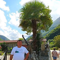 ������, ����������, 37 ���