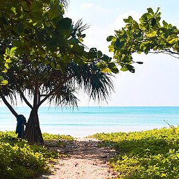 ��������, ������, 63 ����