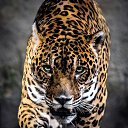 ���� ����, ���� - ��������� 19 ����� 2023 � ������ ������ ��������