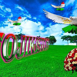 ���, ������, 38 ���