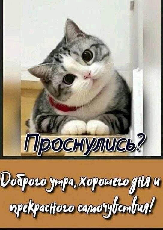 " ") - 12  2023  08:38