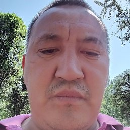 ���������, ���������, 44 ����