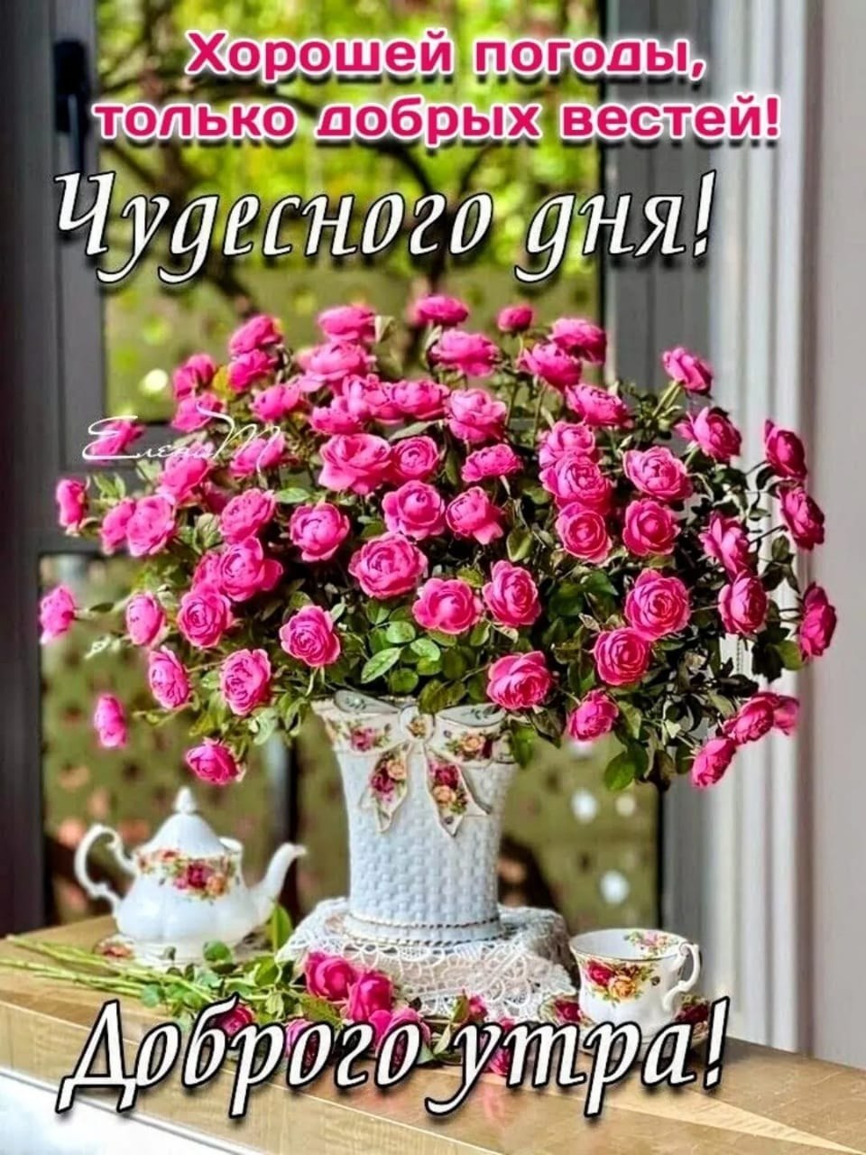 ***Victoria Viktorovna*** - 17  2023  03:46
