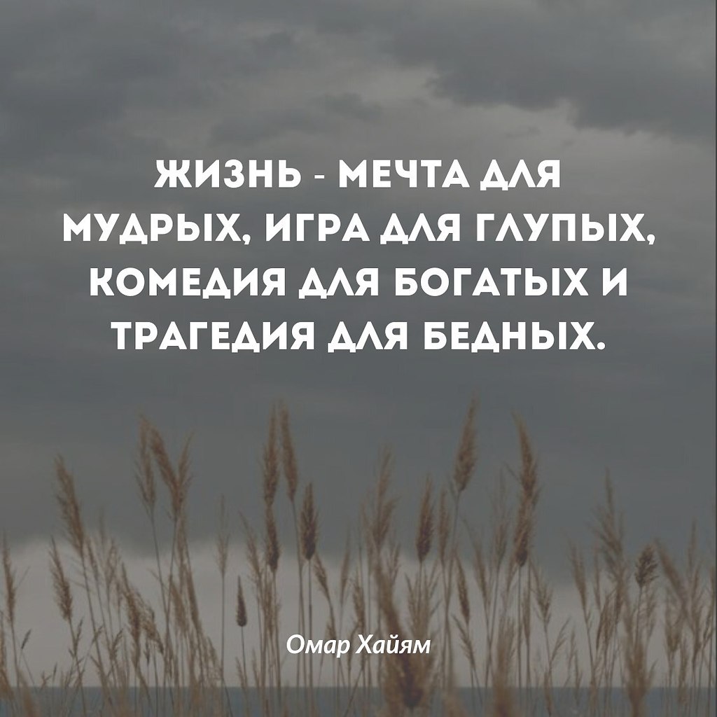 Для мудрых, жизнь - это возможность реализовывать свои мечты ... | Омар  Хайям и другие великие философы | Фотострана | Пост №2588605583