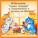 ���� �������, ������, 48 ��� - ��������� 9 ������� 2023 � ������ ������