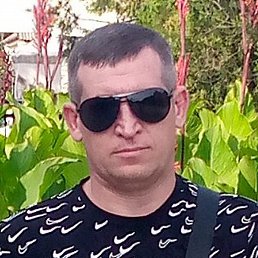 �����, ������