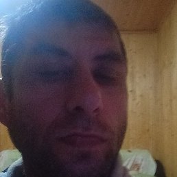 ���, ������, 41 ���