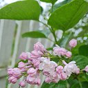 ���� ������, ������, 52 ���� - ��������� 4 ���� 2023