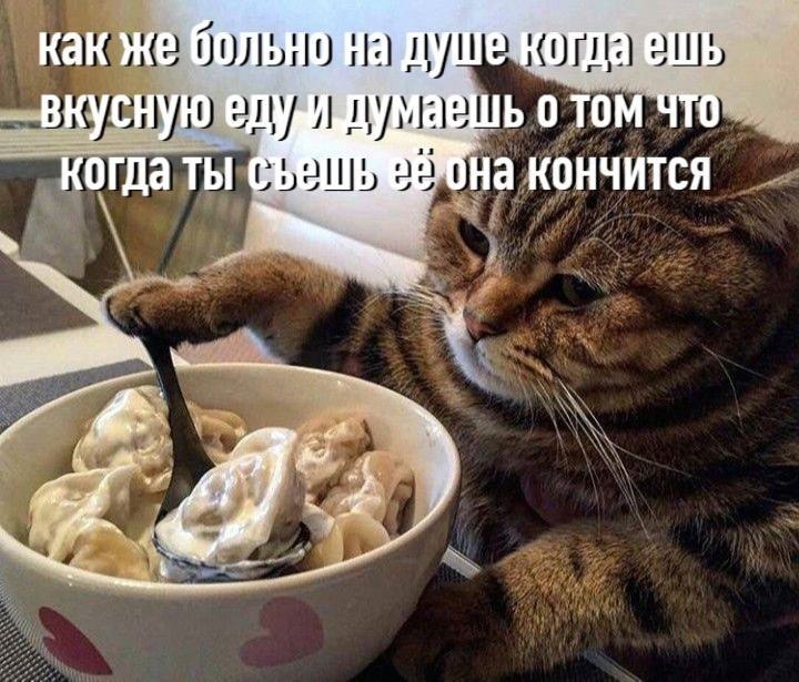    - 21  2023  17:13