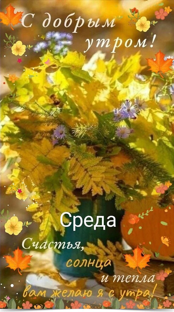 ~~~