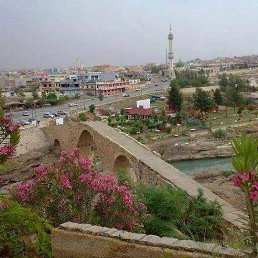 ���� Zaxo, �����������, 52 ���� - ��������� 18 ����� 2023