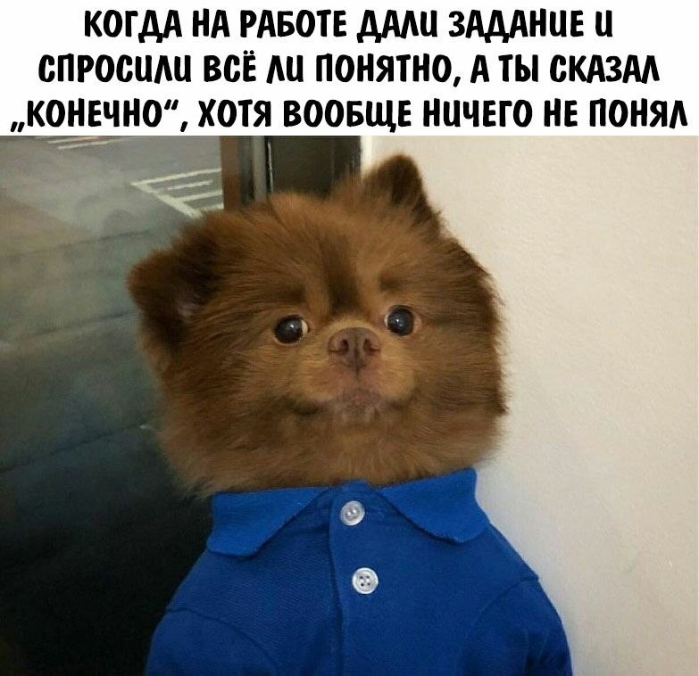    - 5  2023  23:22