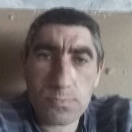 �����, ����������, 44 ����