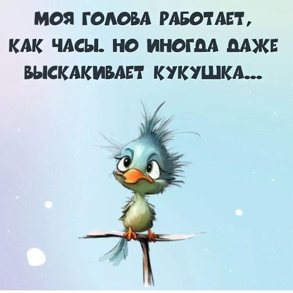   - 12  2023  12:02