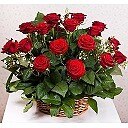 ���� �����, �������, 74 ���� - ��������� 20 ����� 2023