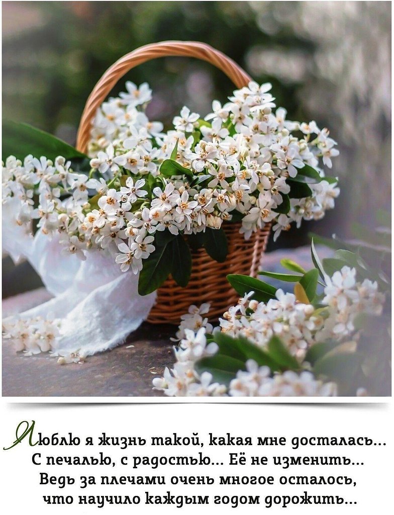 - - - - - - - - - - - - - - - - - - - - - - - - -